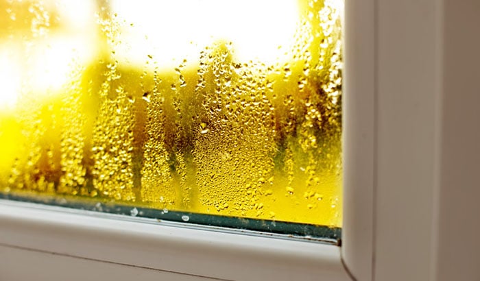 Foggy Windows: What is Causing Them and What You Can Do